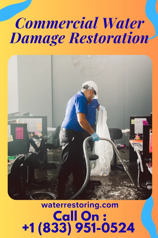 Commercial Water Damage Restoration in Spring Grove, IL