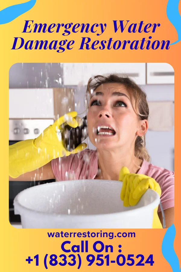 Emergency Water Damage Restoration in Spring Grove, IL