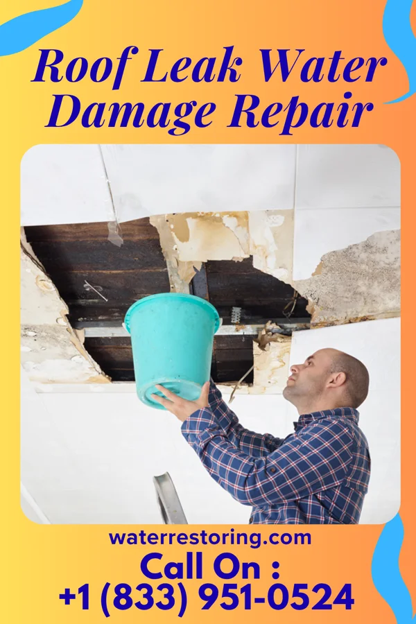 Roof Leak Water Damage Repair in Spring Grove, IL